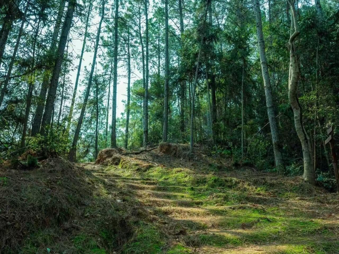 松岭山道